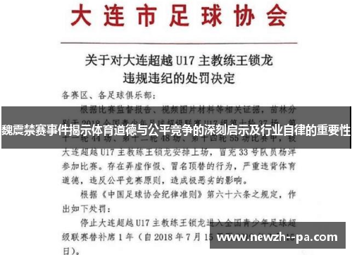 魏震禁赛事件揭示体育道德与公平竞争的深刻启示及行业自律的重要性