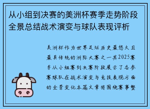 从小组到决赛的美洲杯赛季走势阶段全景总结战术演变与球队表现评析